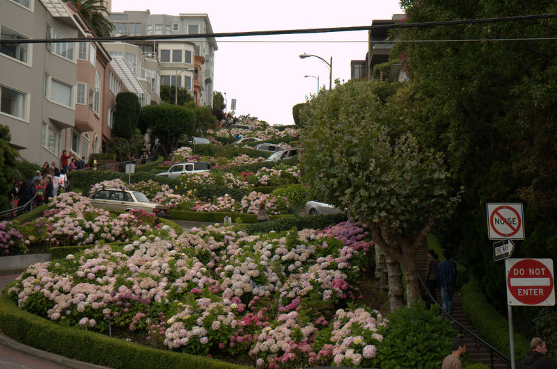 DSC_4386