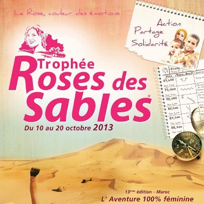 affiche-2013_45677x3