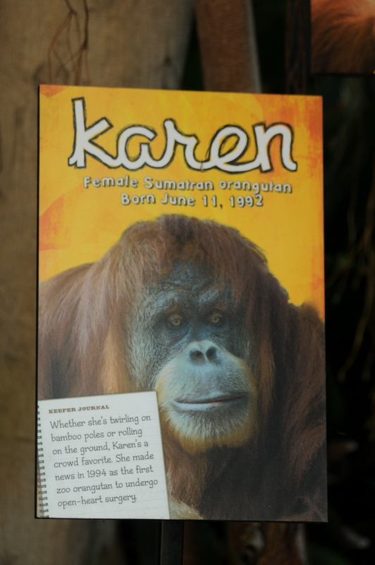 Karen