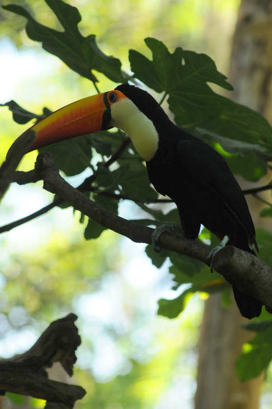 San Diego Zoo 7