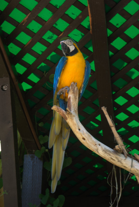 San Diego Zoo 5