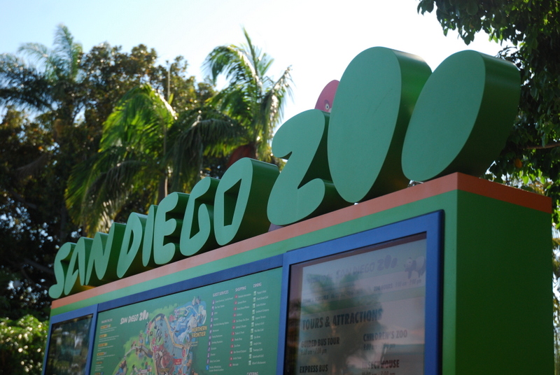 San Diego Zoo 1